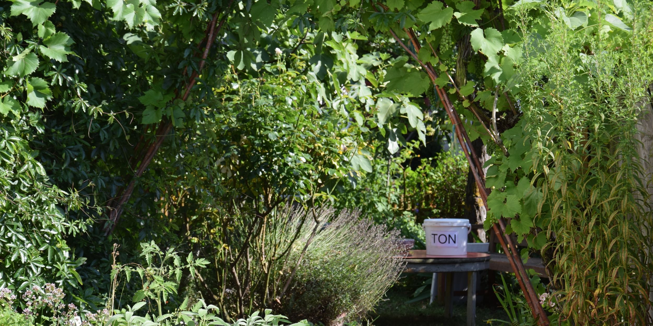 Tonbehälter im Garten3_klein
