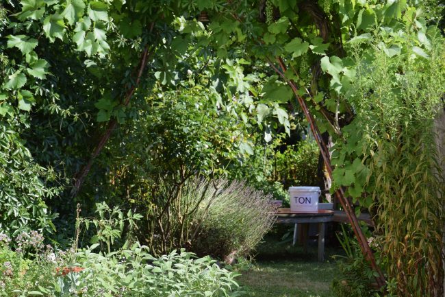 Tonbehälter im Garten3_klein